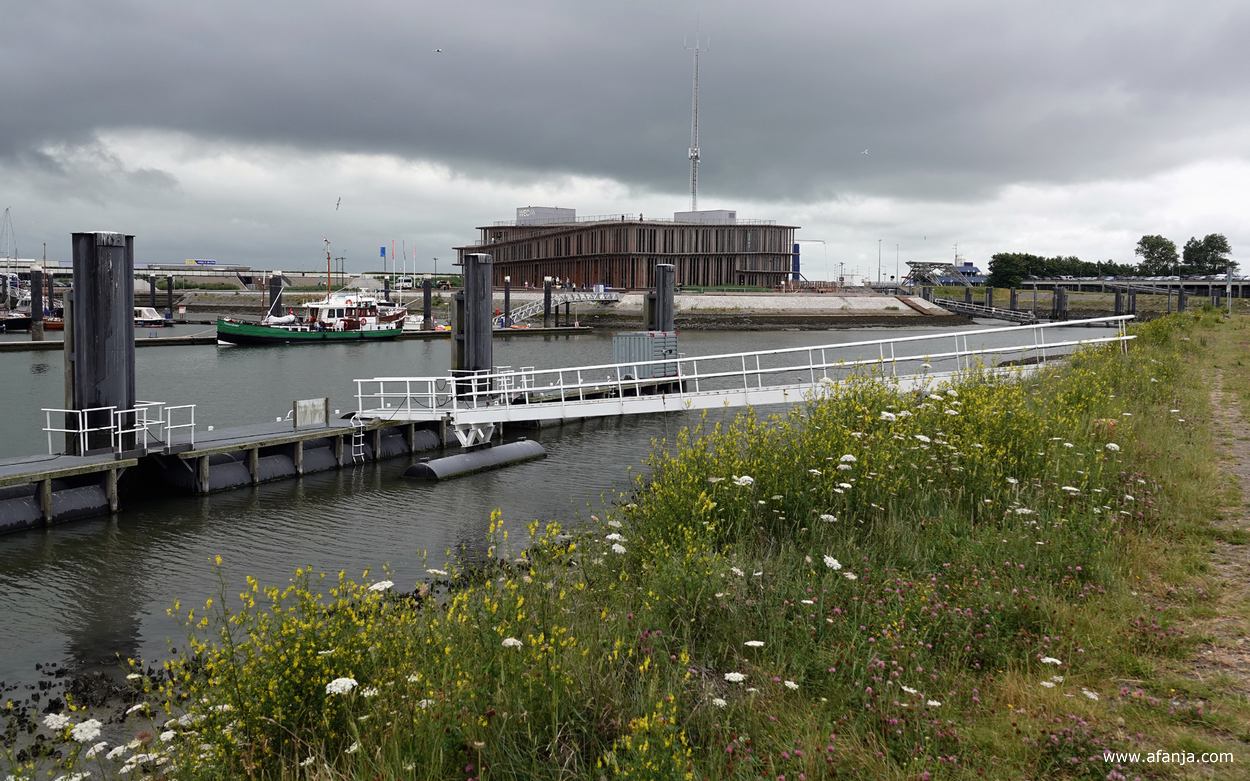 het nieuwe WEC (Werelderfgoedcentrum Waddenzee) in de haven van Lauwersoog