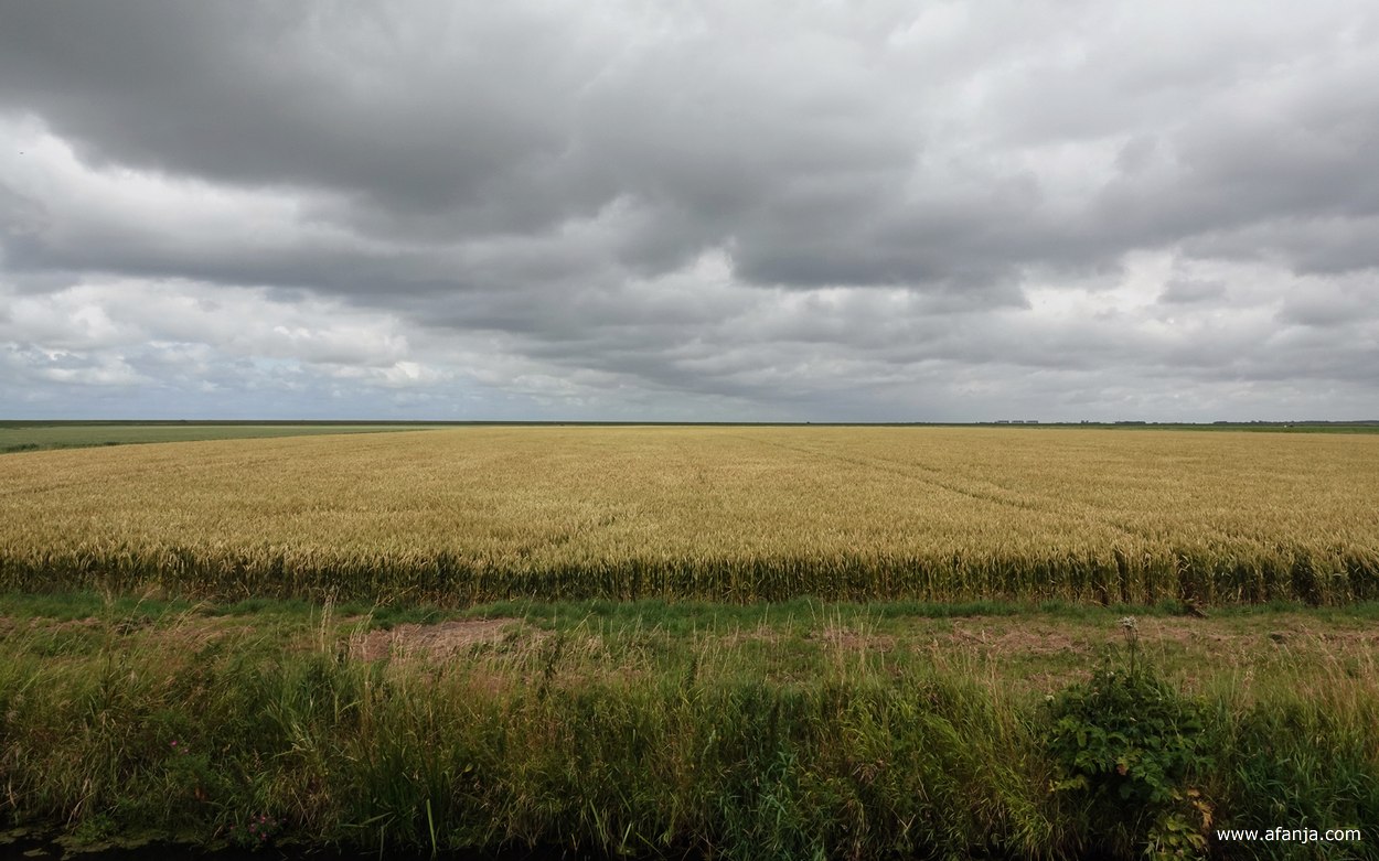 en weg is de zon weer