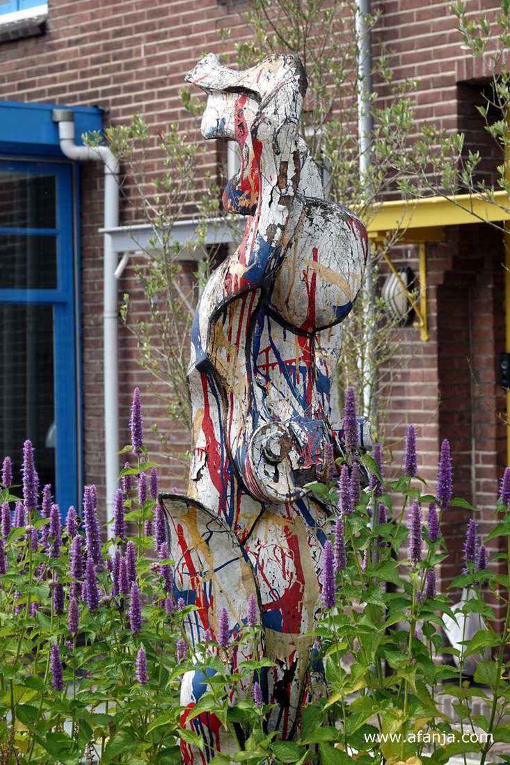 in de Papegaaienbuurt in Drachten