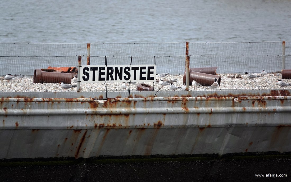 close-up van de naam van de drooggevallen schuit