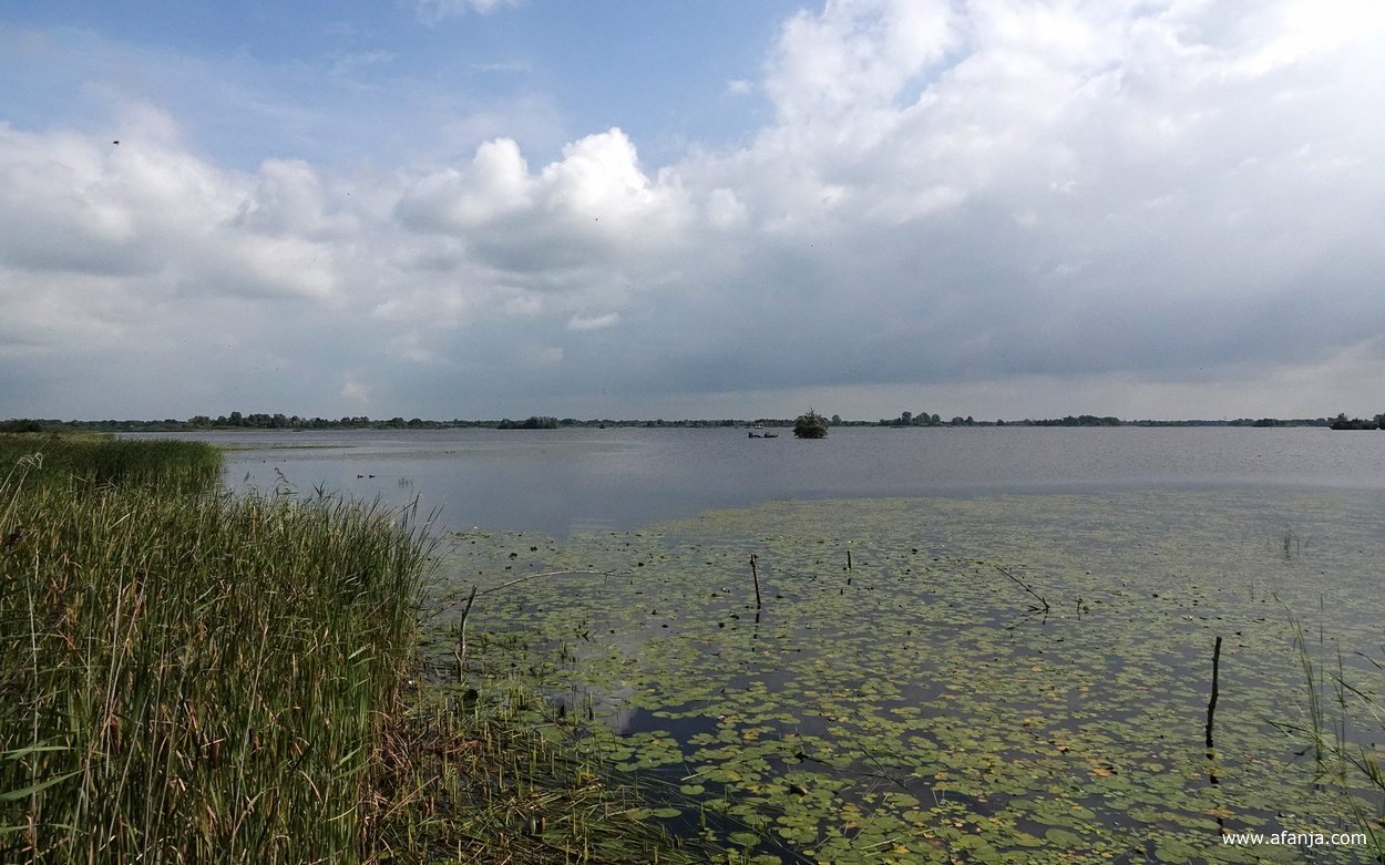 een wisselend bewolkte zomerdag bij de Leijen