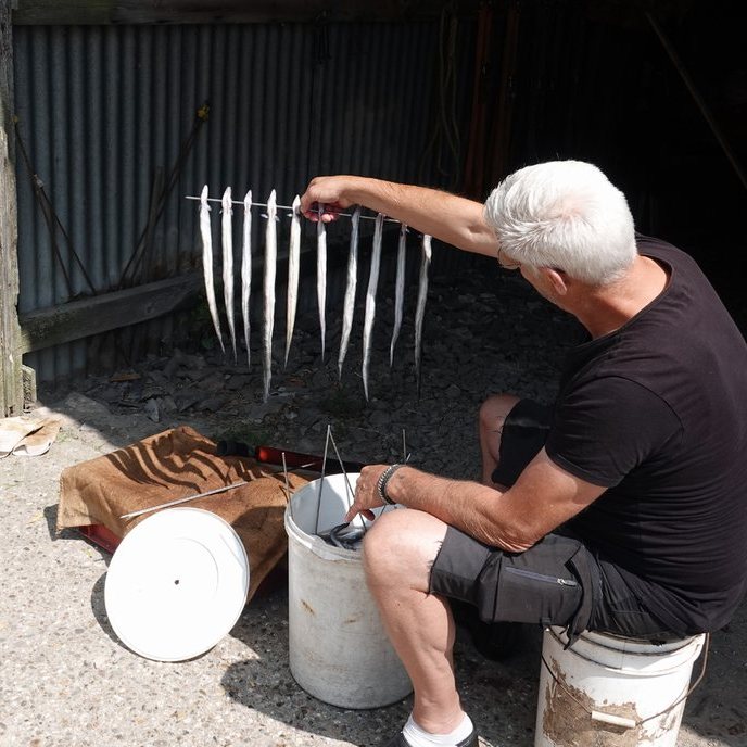 de eerste palingen zijn aan een pen geregen