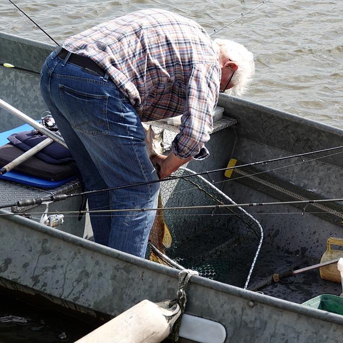 de snoek wordt uit het schepnet en van de haak gehaald
