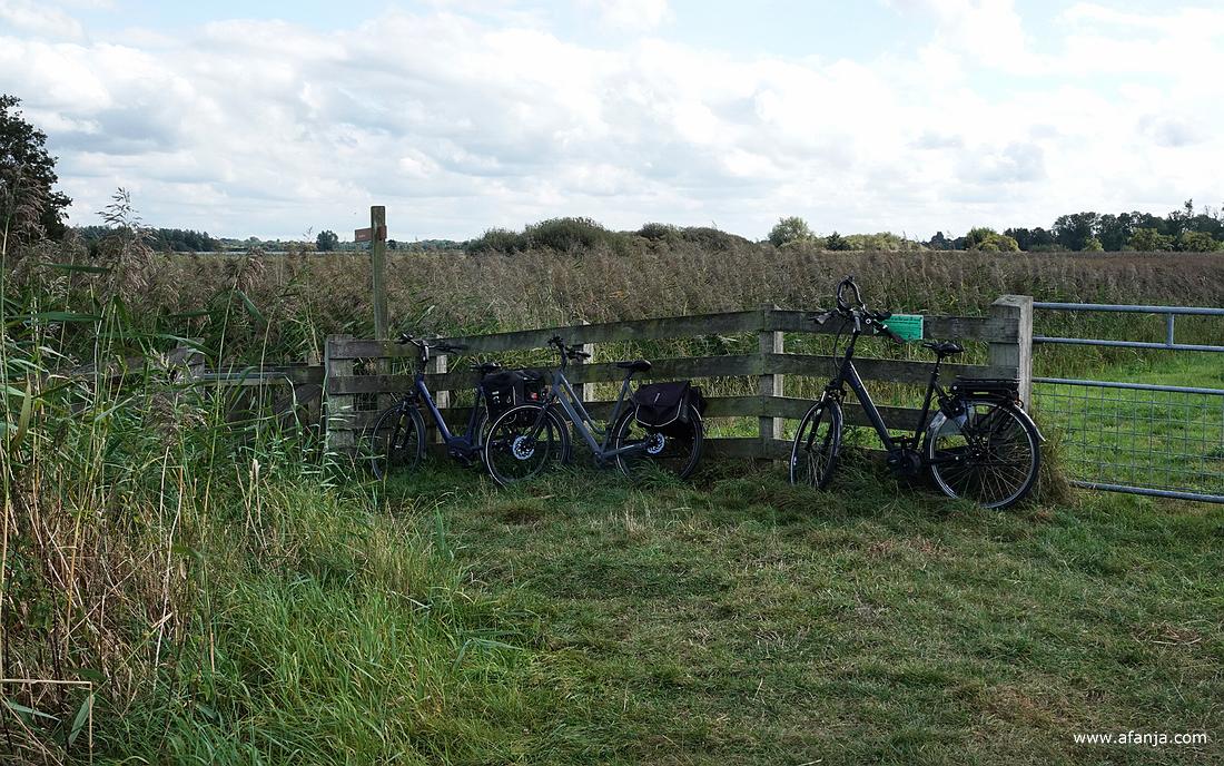 er staan drie fiets tegen het hek bij het pad naar de vogelkijkhut bij de Leijen