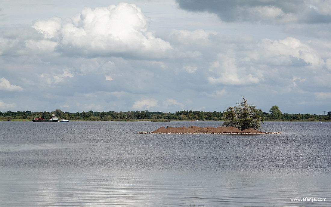 het eilandje 'de Kninepôle' in de Leijen wordt hersteld