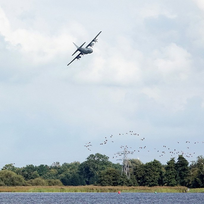 een grote groep vogels vliegt op bij de passage van het ronkende vliegtuig
