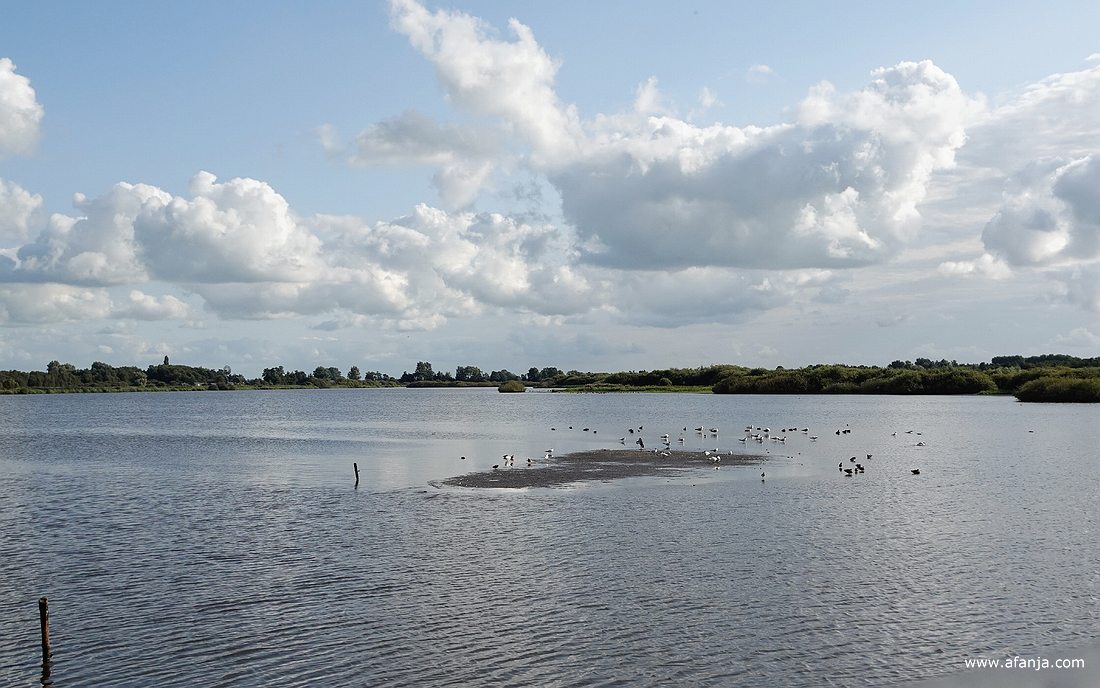 er ligt weer een drooggevallen eilandje in de Jan Durkspolder