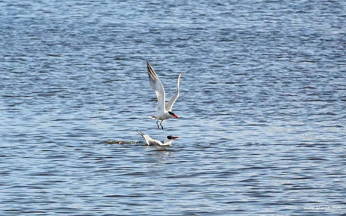 en weer door oor de volgende ronde