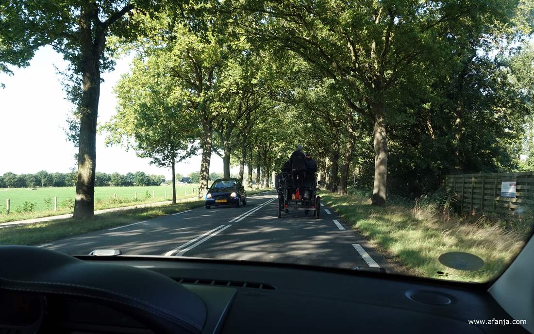 onderweg, met vóór ons op de weg paard en wagen