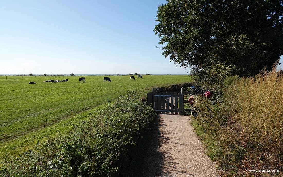 het begin van het pad naar het Oudemirdumer Klif