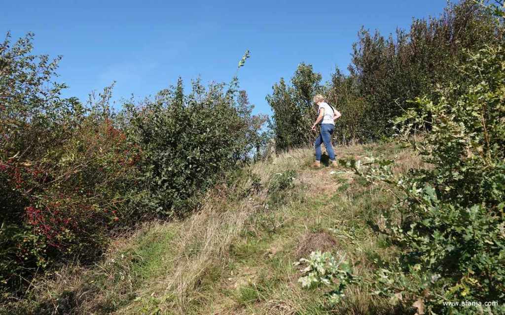 fotomaatje Jetske struint rond op de top van het Oudemirdumer Klif