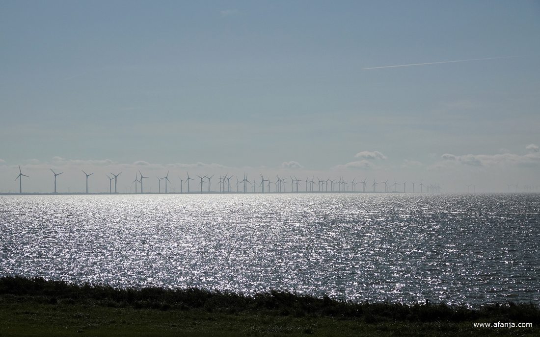 zilveren schitteringen op het IJsselmeer