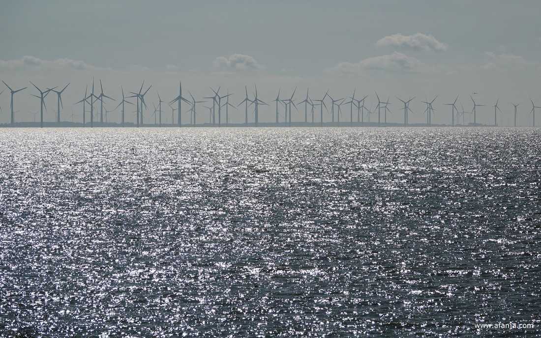 schitteringen op het IJsselmeer met daarachter een rij windturbines