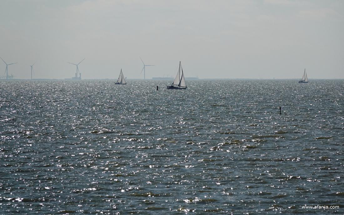 drie zeilboten op het IJsselmeer en links op de achtergrond vier windturbines