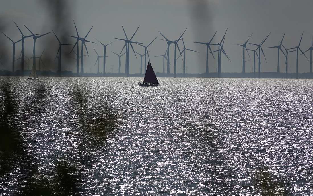 op de voorgrond vage schimmen van struikgewas met daarachter een paar zeilboten en een rij windturbines