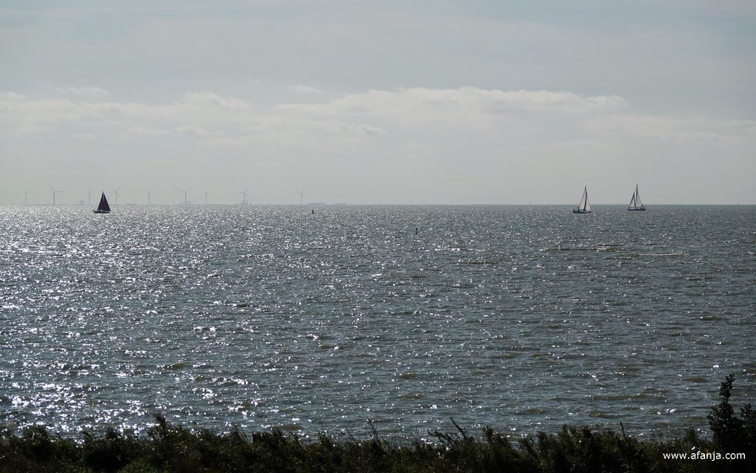 zeilboten op het IJsselmeer