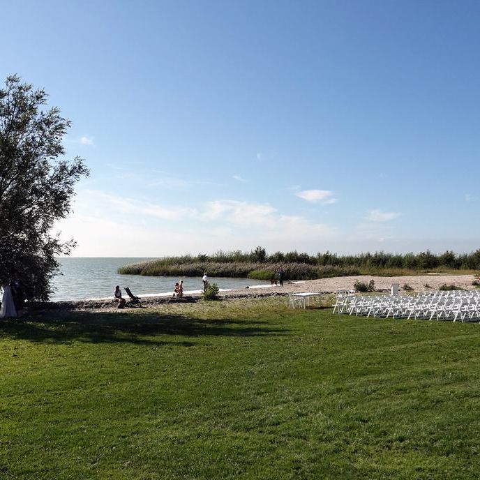 in de schaduw van de boom staat een bruidspaar