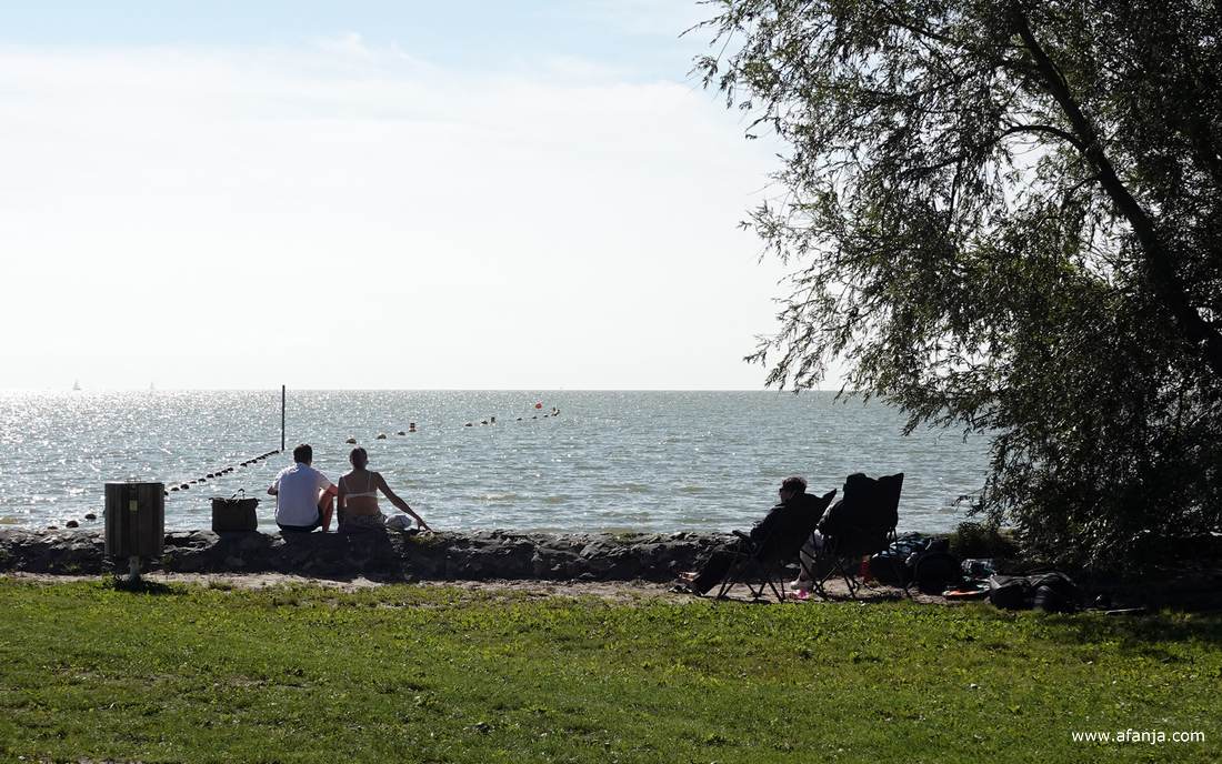 schimmen aan de waterkant