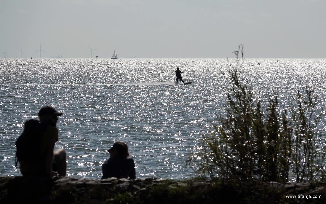 schimmen aan de waterkant