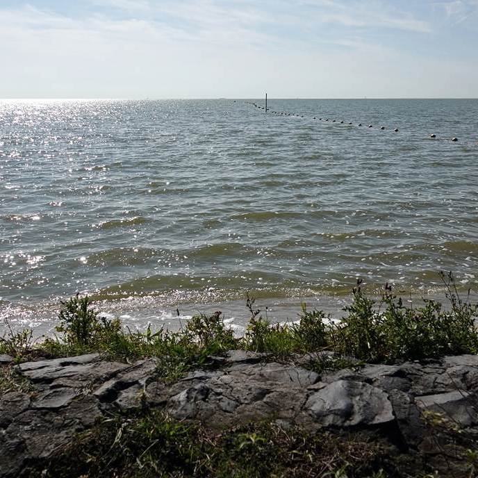 aan de oever van het IJsselmeer, links is een veiligheidslijn met balletjes te zien