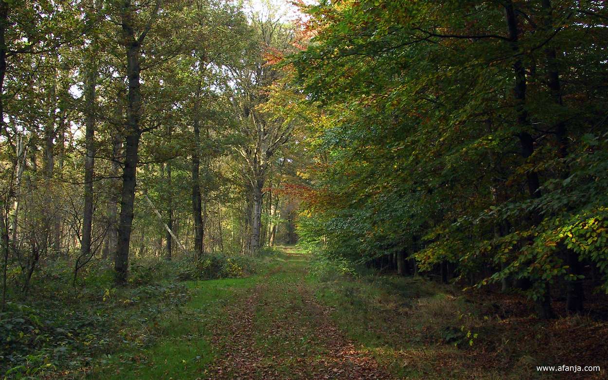 in het Weinterper Skar