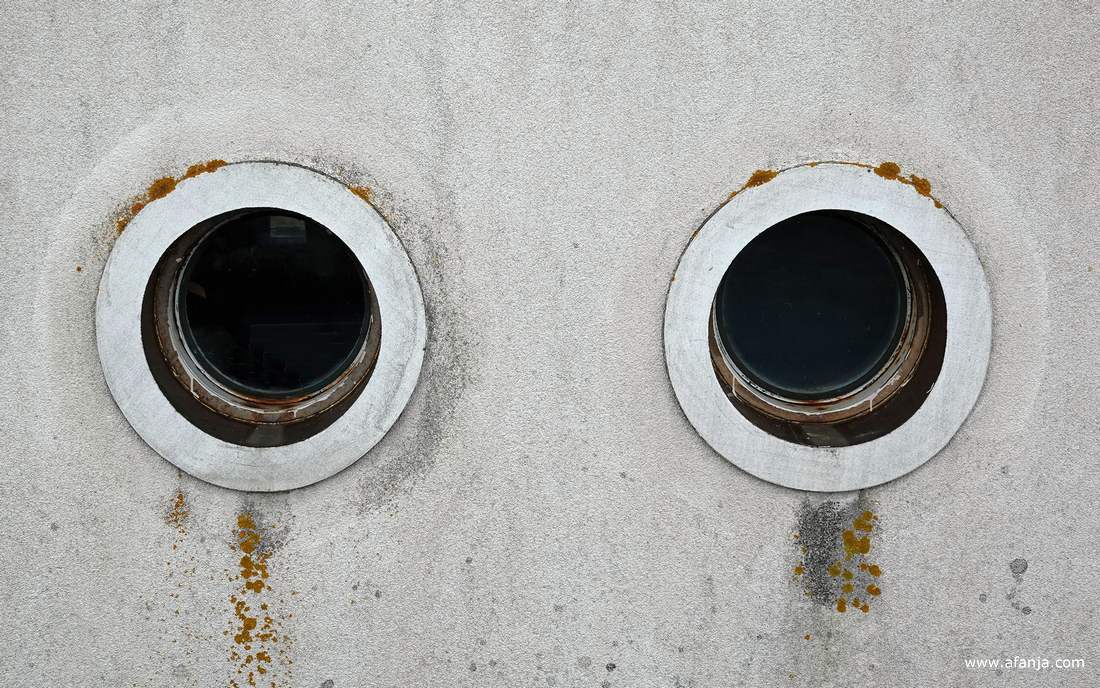 'ogen' in de haven van Lauwersoog