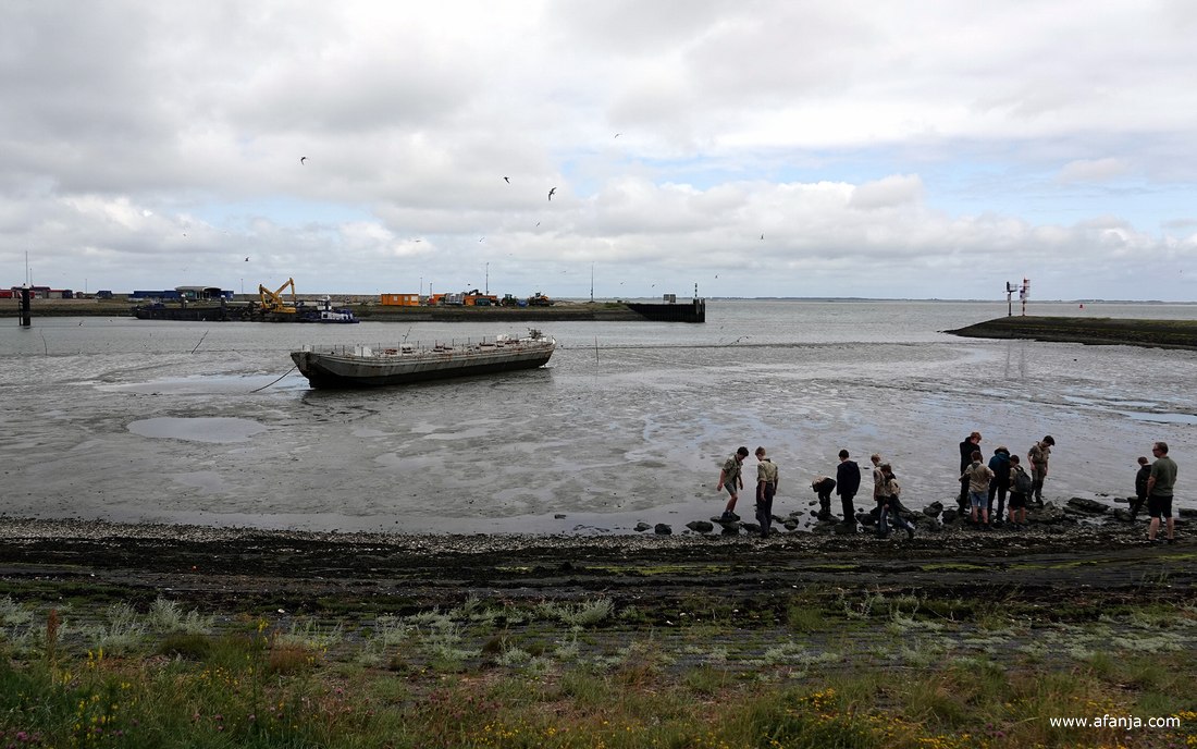 een groep jongeren is bezig langs de waterlijn bij de haveningang van Lauwersoog