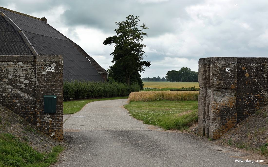 een boerderij achter een dijkcoupure aan de Alddyk tussen Peazens en Eanjum
