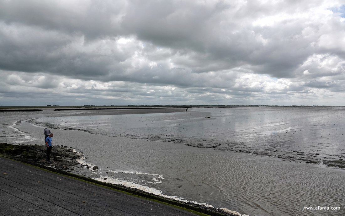 het kwelderland bij Holwerd