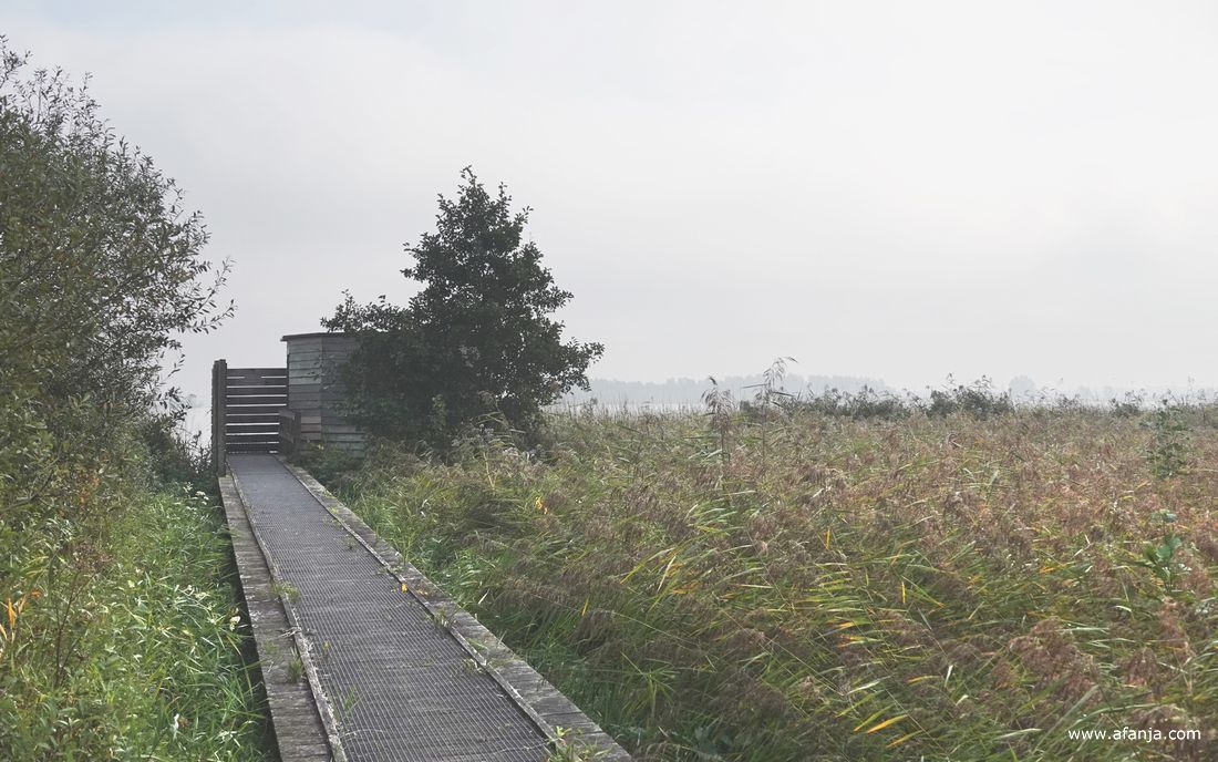 dichter bij de hut probeerde de zon door te breken