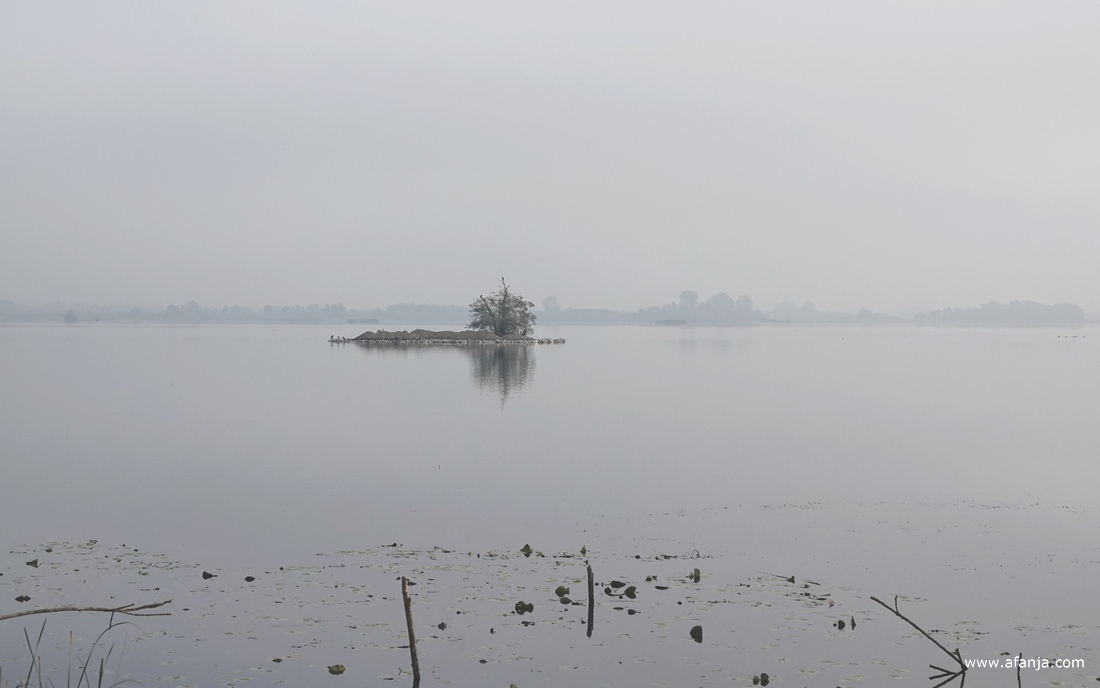 het eilandje de 'Kninepôle' in de Leijen