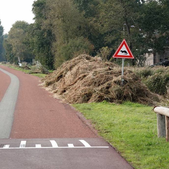 waarschuwingsbord voor overstekende otters