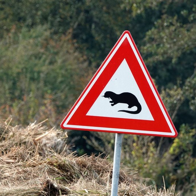 waarschuwingsbord voor overstekende otters