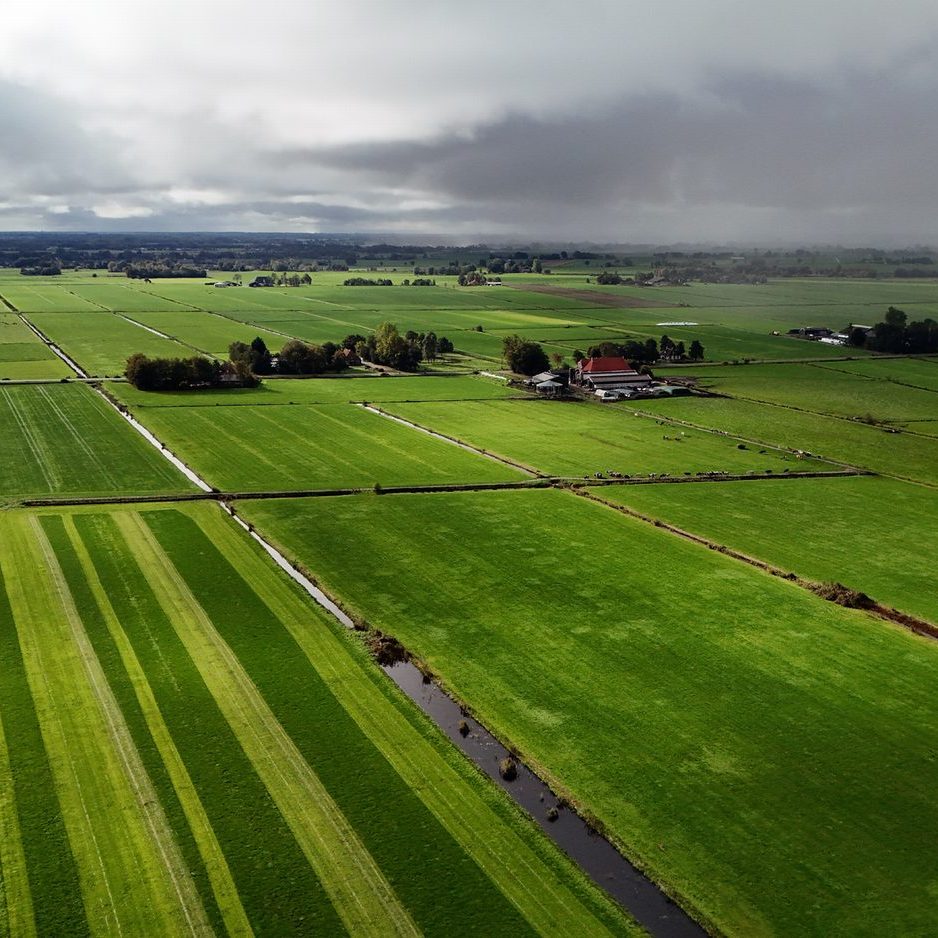 in zuidelijke richting trekt een bui over de bossen van Beetsterzwaag