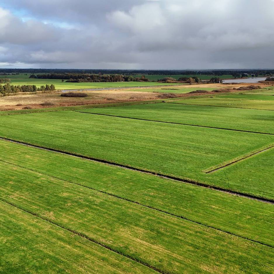 uitzicht in noordoostelijke richting, de Smalle Eesterzanding
