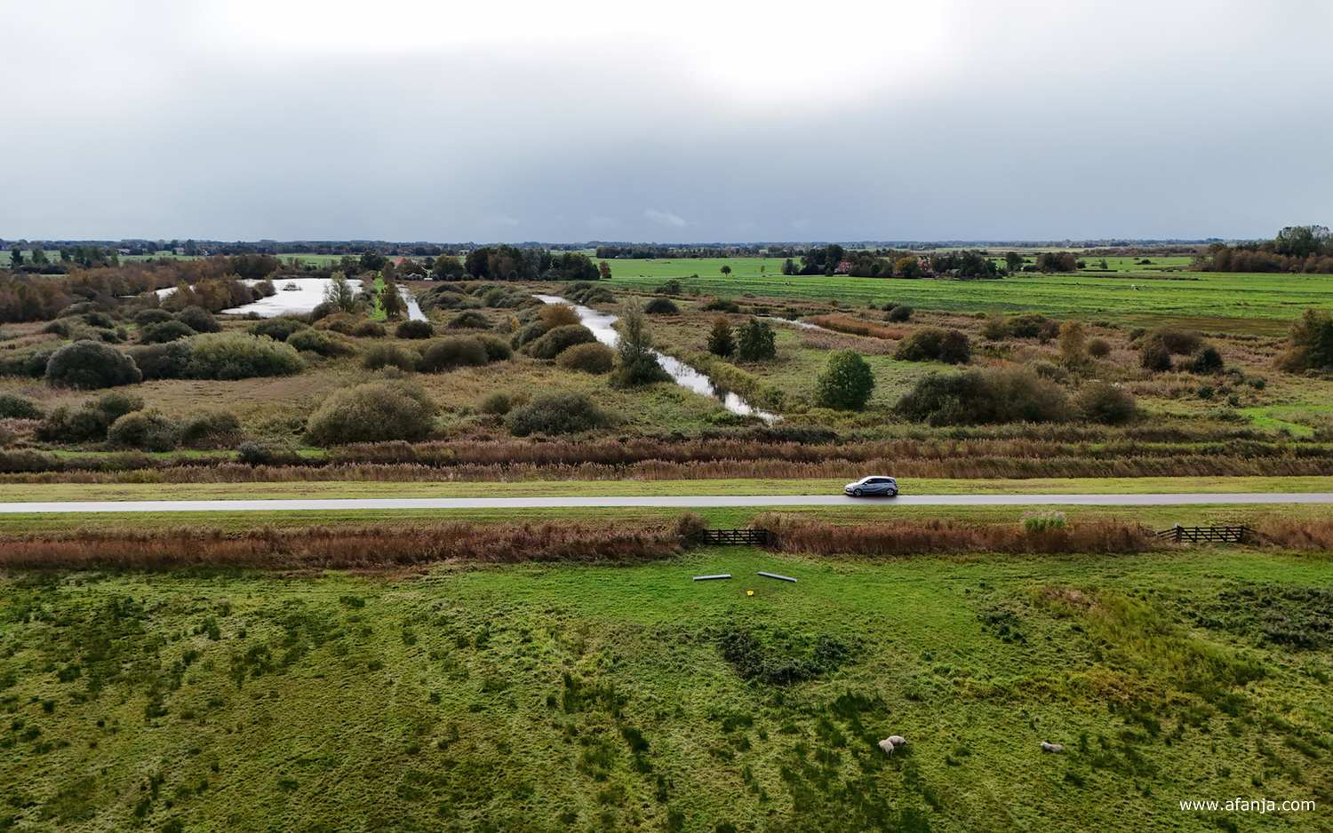 de Bonnebuskepetten tussen Smalle Ee en De Veenhoop met op de voorgrond de Bûtendiken