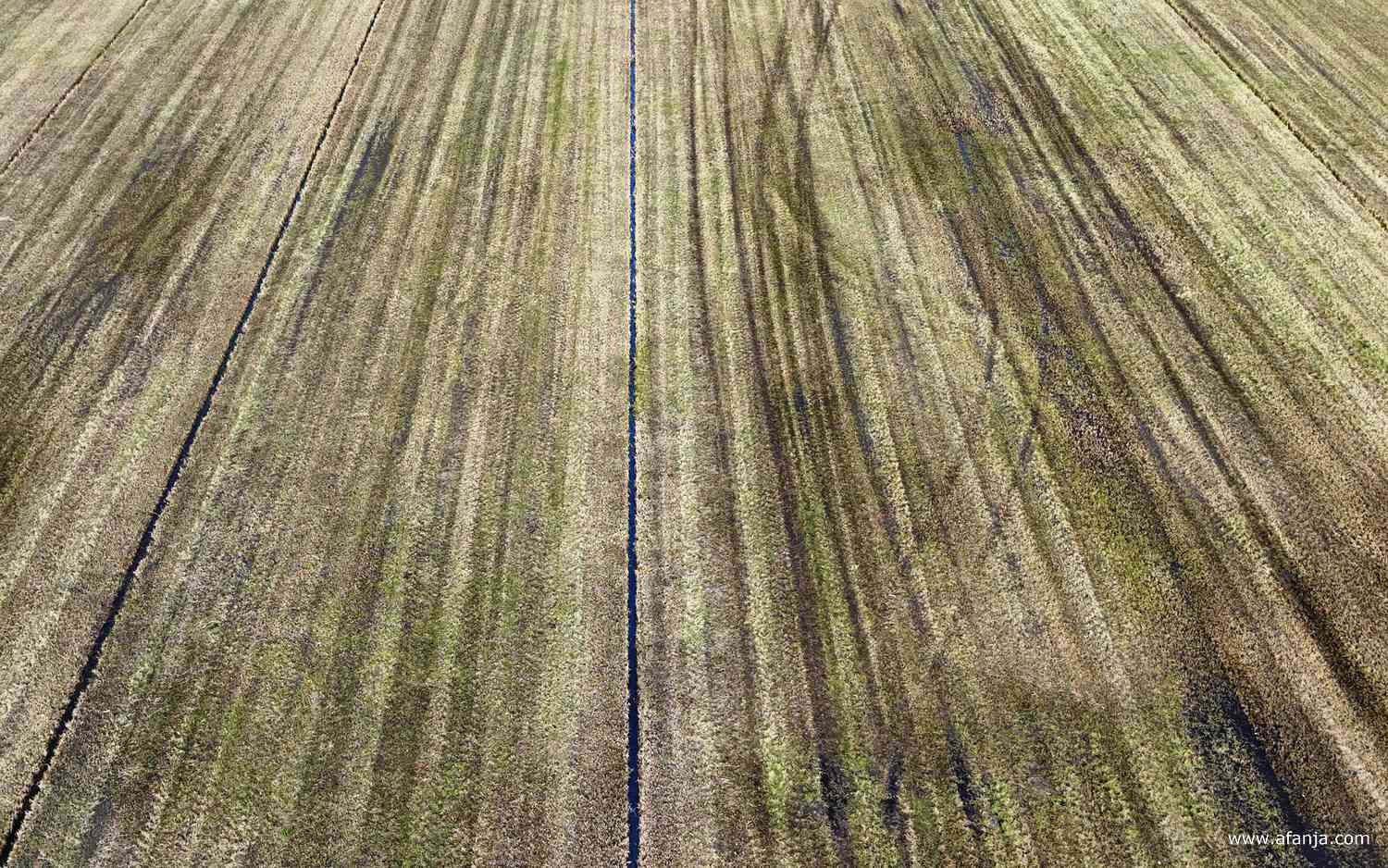 lijnen in het land