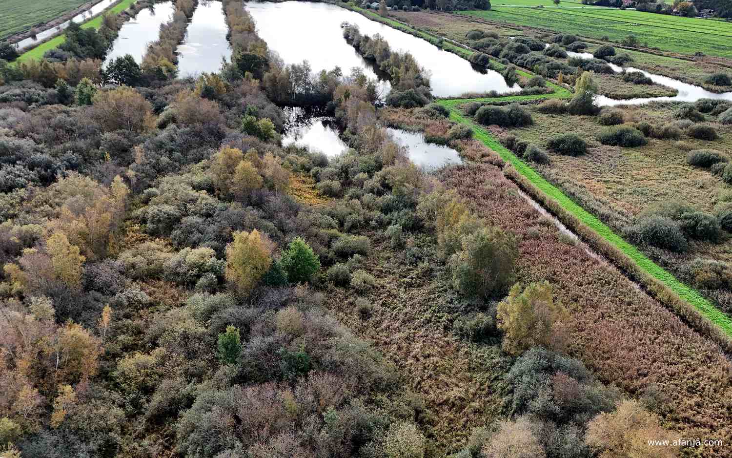 de Bonnebuskepetten tussen Smalle Ee en De Veenhoop