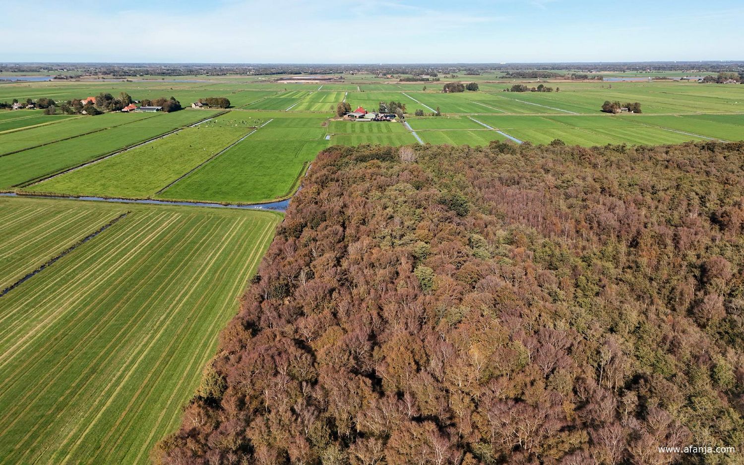 de noordwest hoek van de Boornbergumerpetten