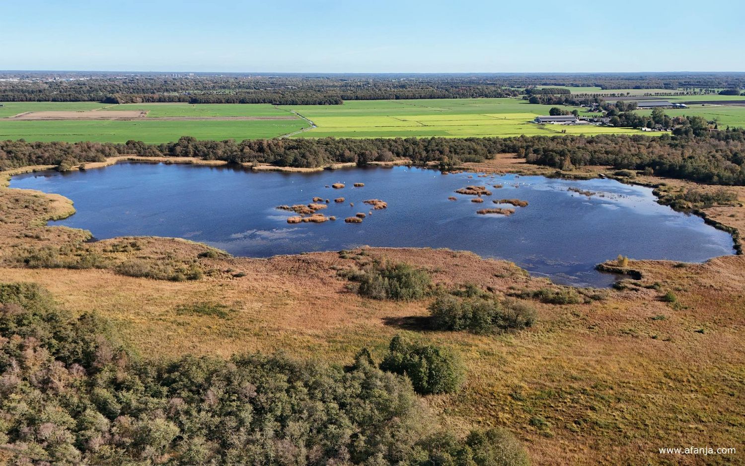 de Boornbergumerpetten