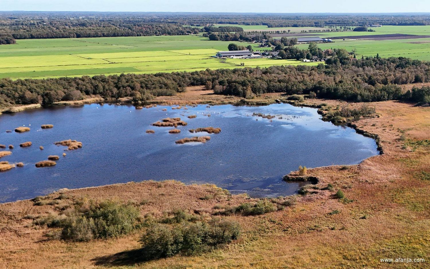 de Boornbergumerpetten met in de verte de bossen van Beetsterzwaag