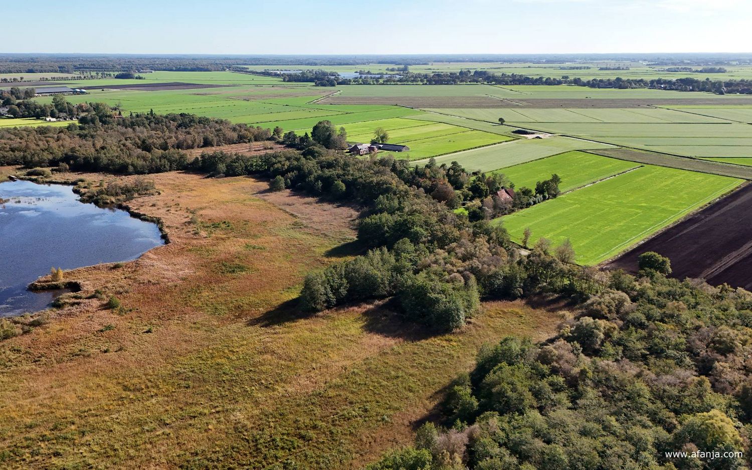 de zuidwest hoek van de Boorbergumerpetten