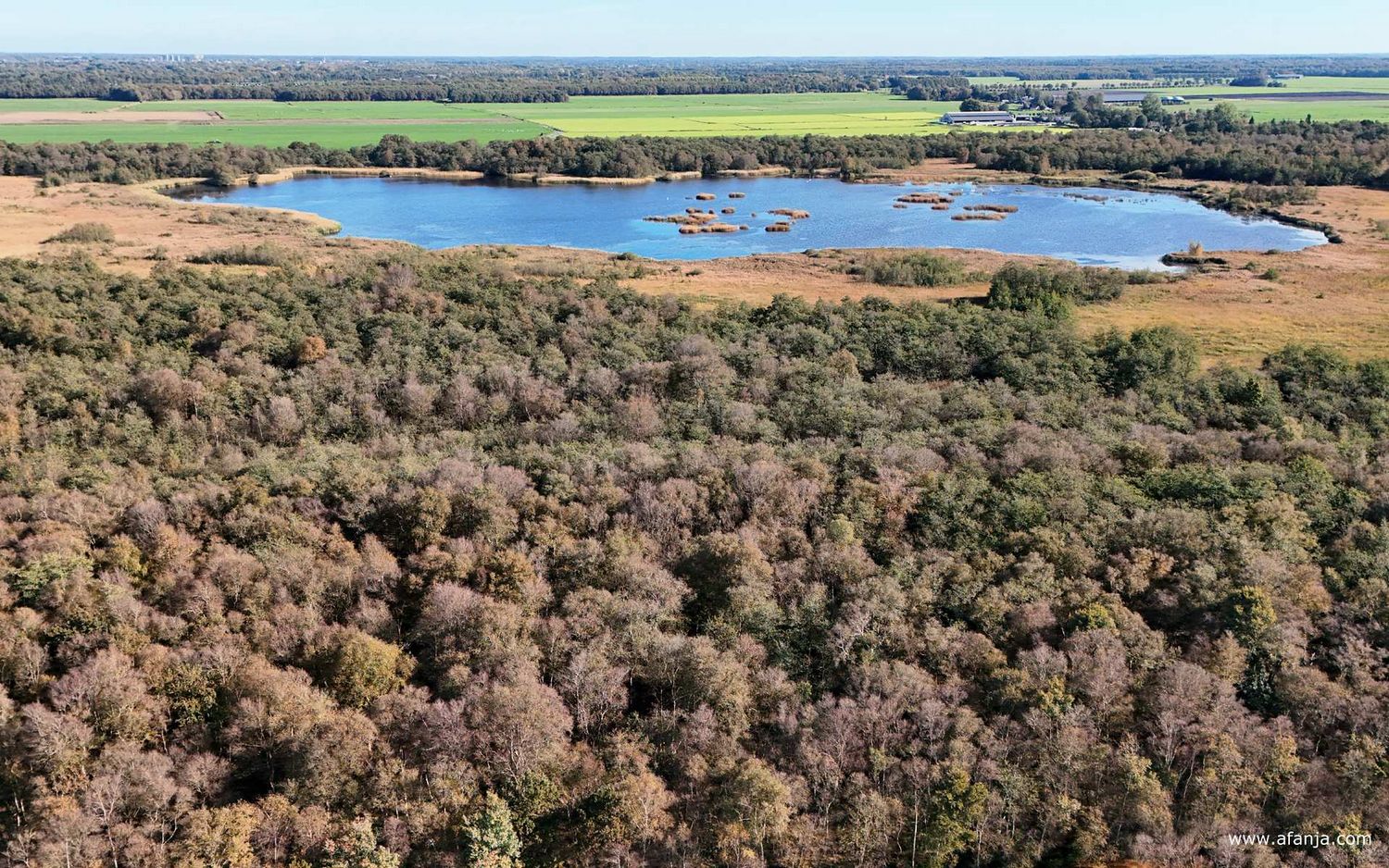 de Boornbergumerpetten
