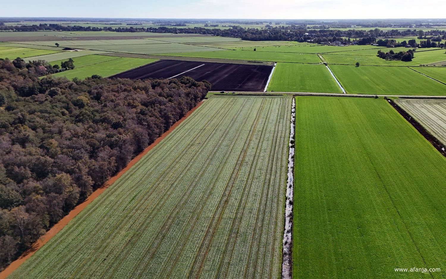 de zuidwest hoek van de Boorbergumerpetten