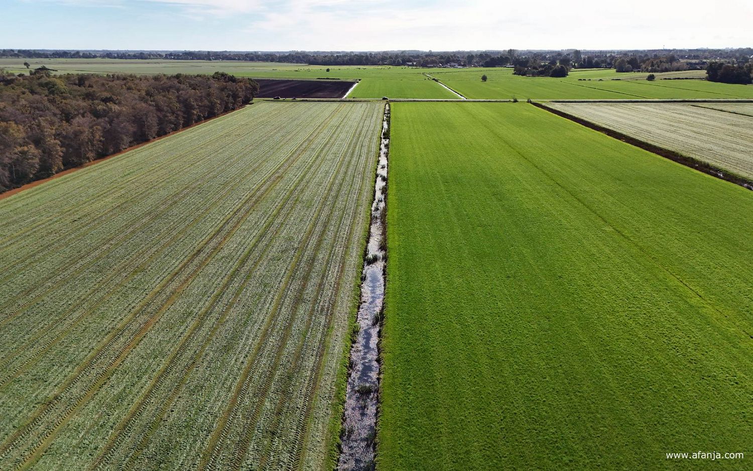 ten westen van de Boornbergumerpetten