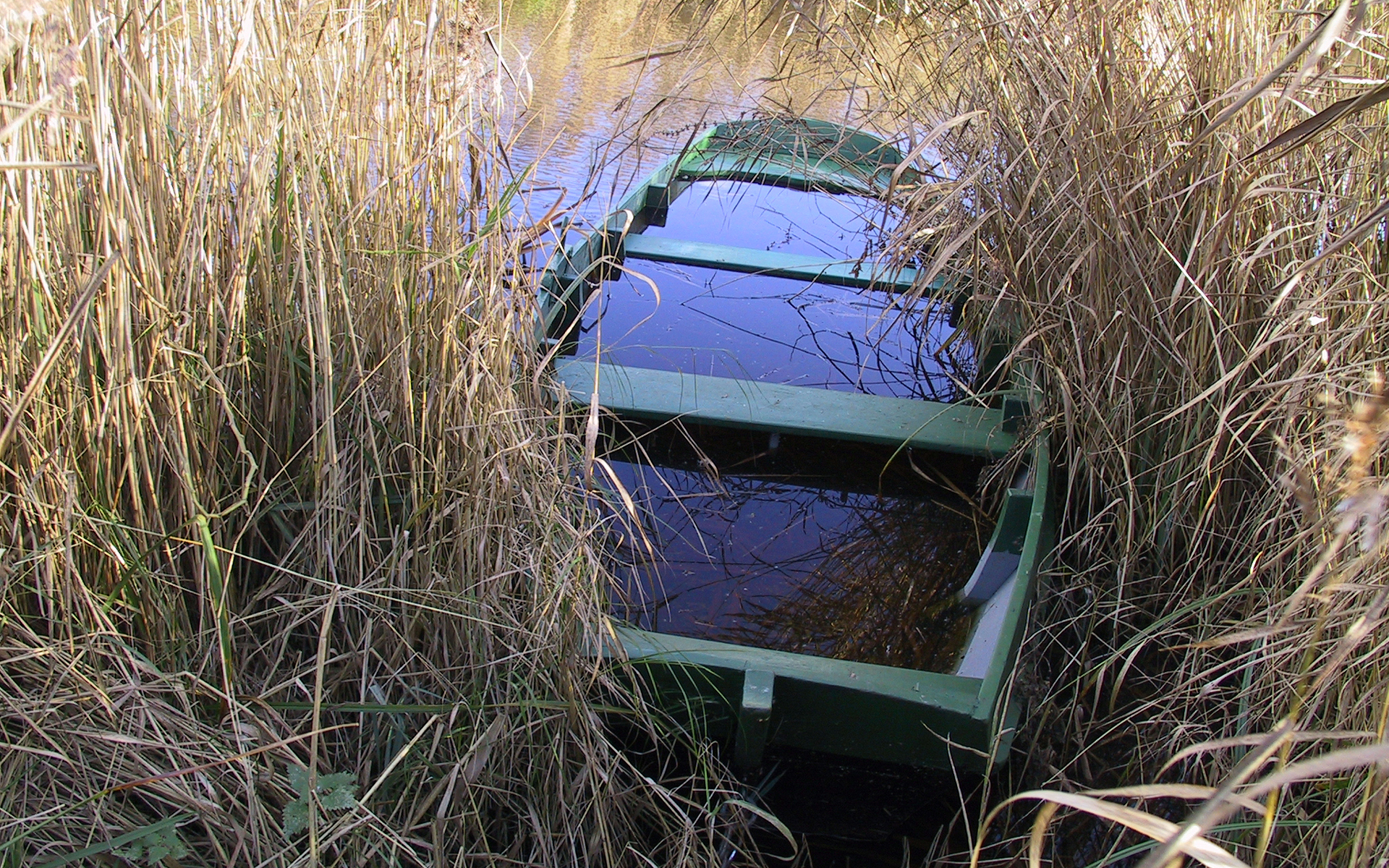 een vol water gelopen bootje in een rietkraag