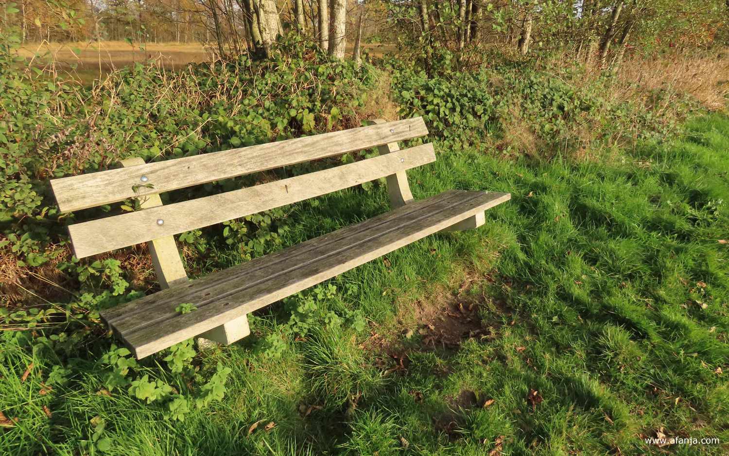 het in 2016 geplaatste bankje aan de zuidkant van het Weinterper Skar