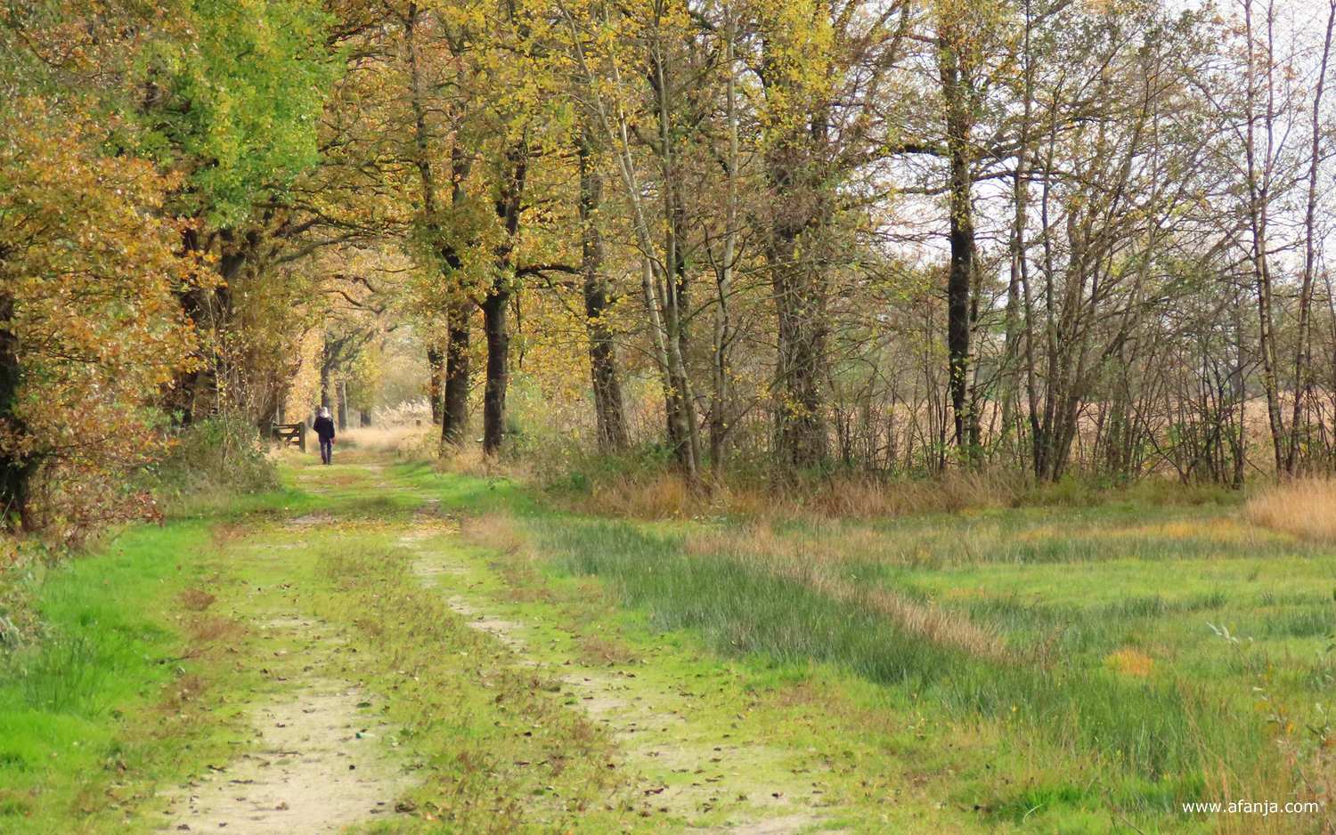 herfsttinten in het Weinterper Skar