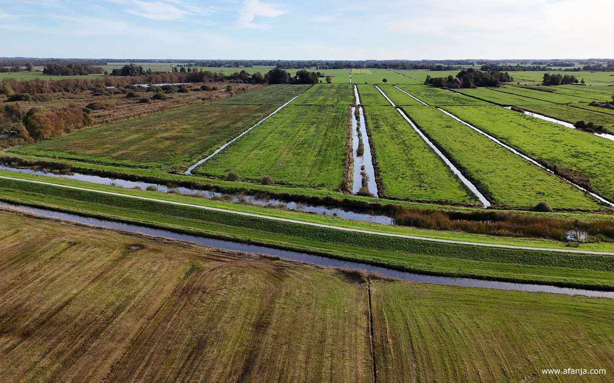 polderland tussen Smalle Ee en De Veenhoop
