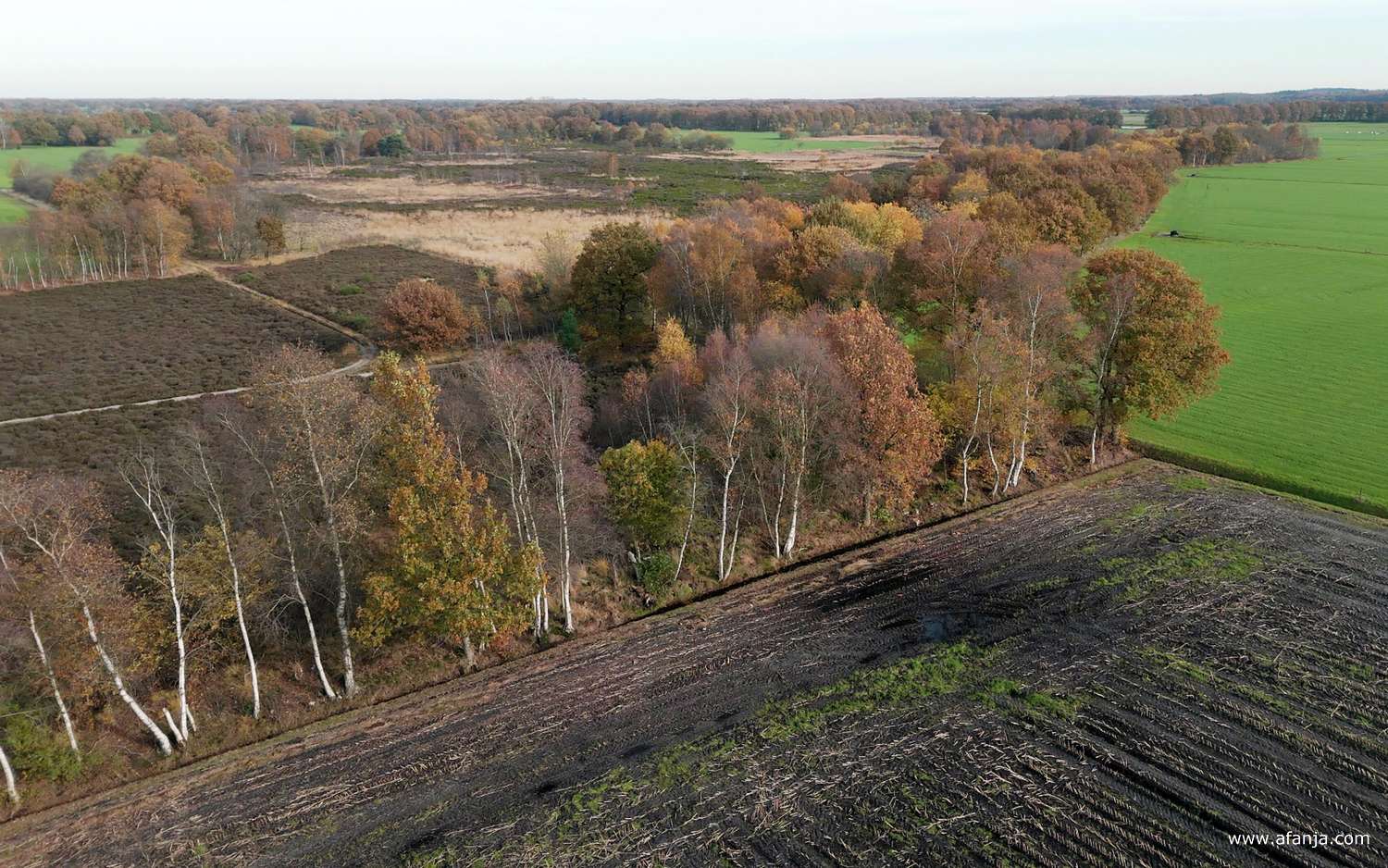 de Merskenheide van boven